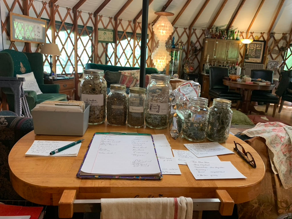 Foundations of Herbal Medicine (12 Month Series)