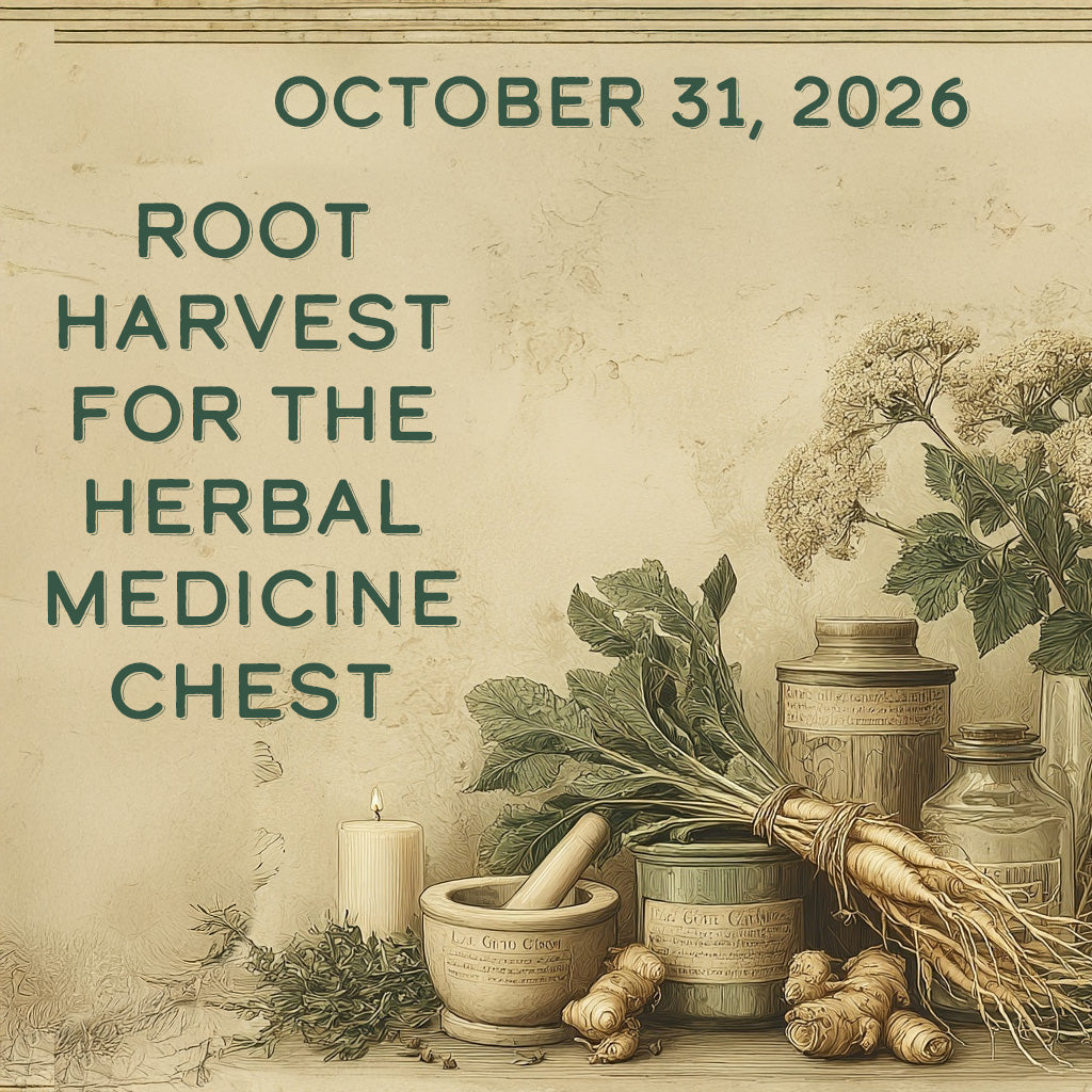 October 31 – Root Harvest for the Herbal Medicine Chest image 0