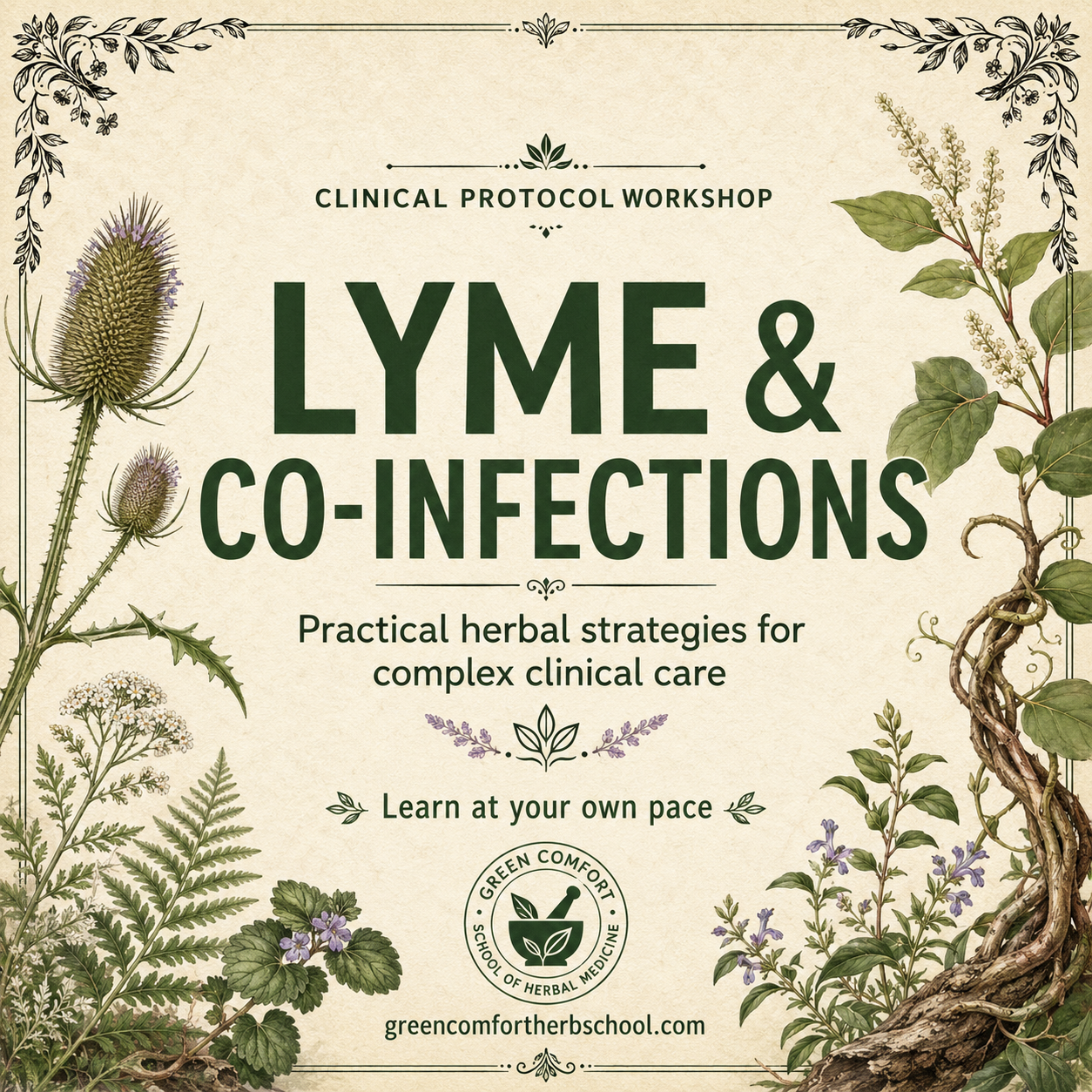 Lyme & Co-Infections