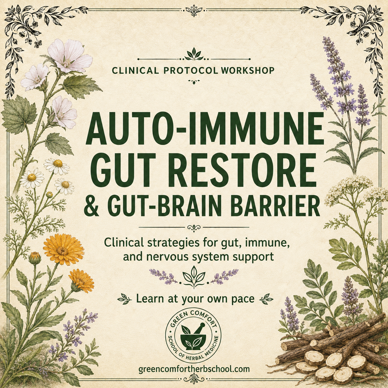 Auto-Immune Gut Restore & Gut-Brain Barrier
