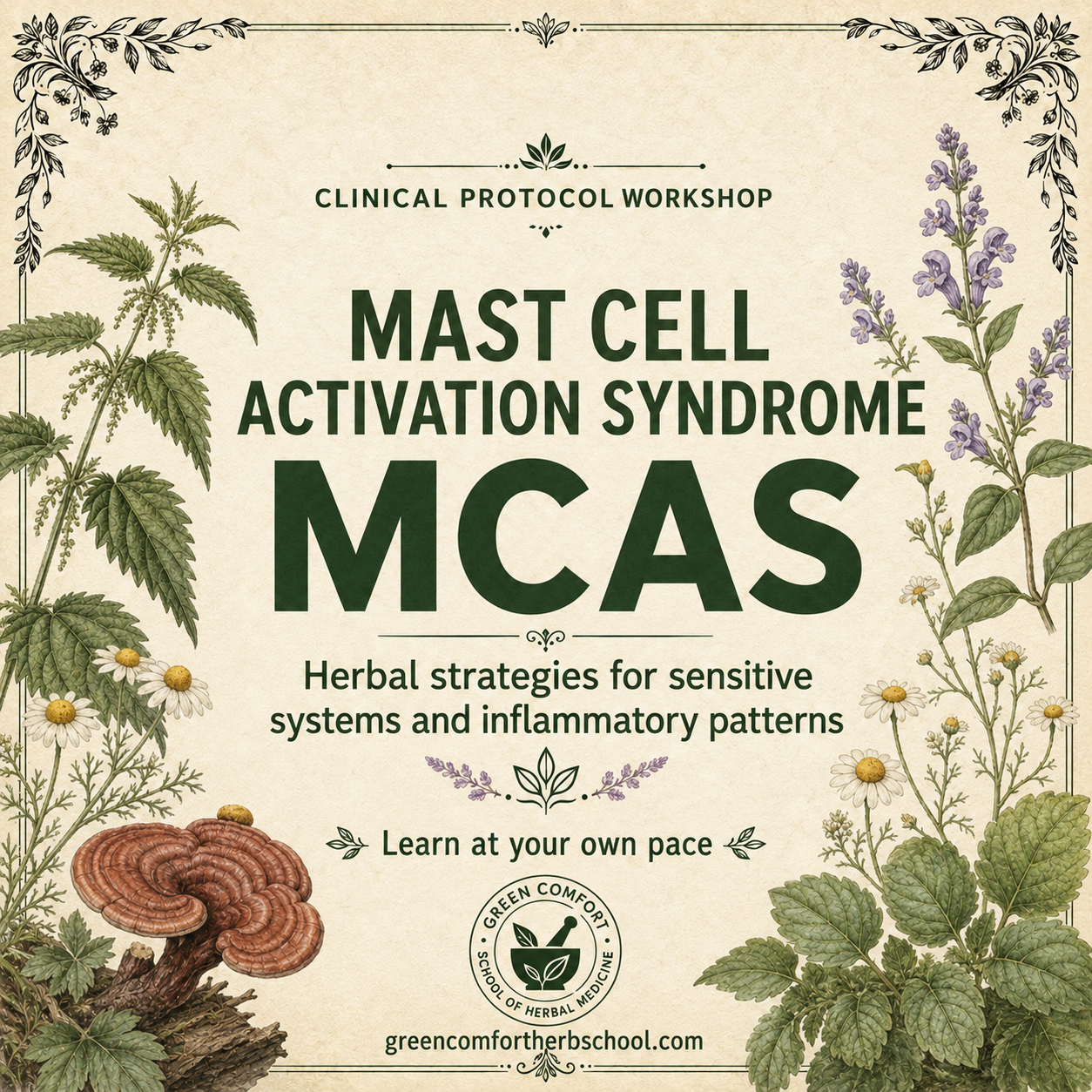 Mast Cell Activation Syndrome (MCAS) -