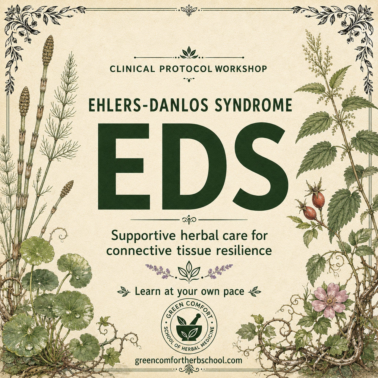 Ehlers-Danlos Syndrome (EDS) Protocol