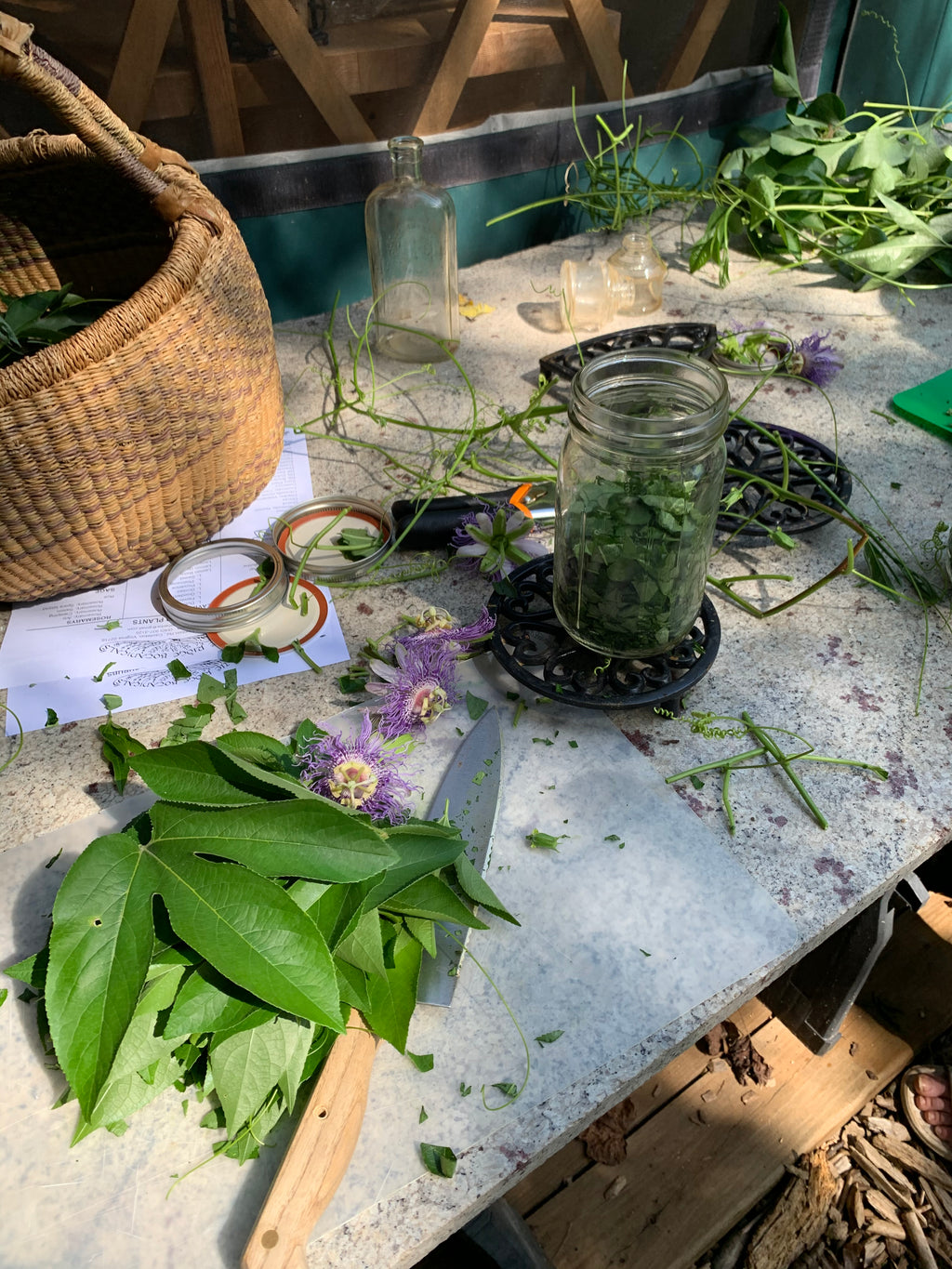 Herb Camp 2026