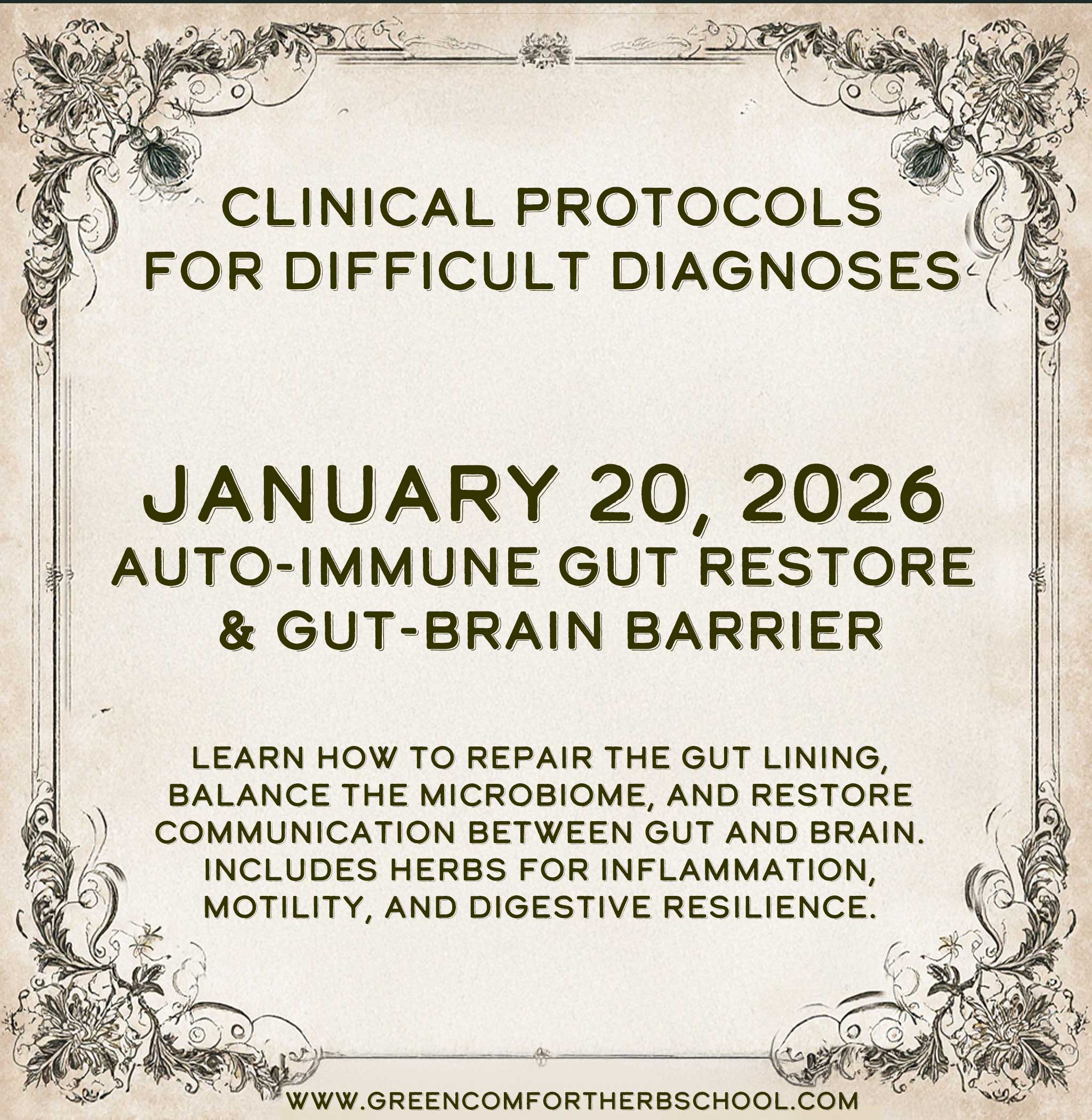 January 20, 2026 — Auto-Immune Gut Restore & Gut-Brain Barrier image 0