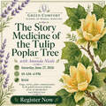 June 27, 2026 — The Story Medicine of the Poplar Tree