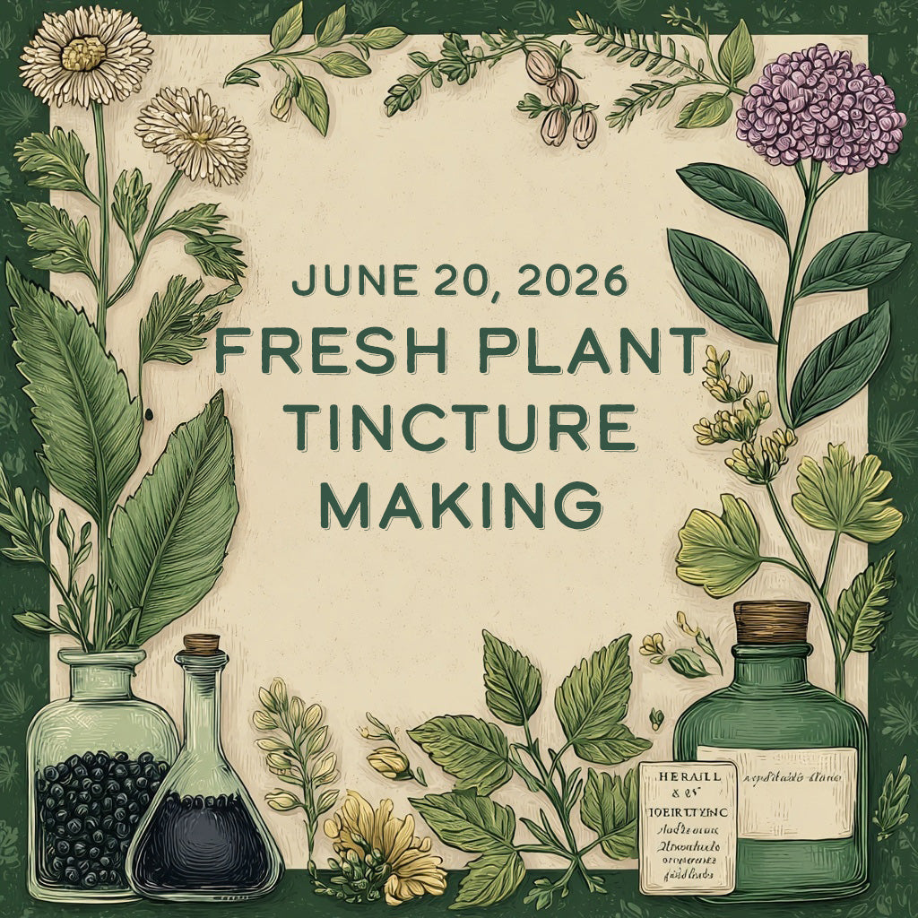 June 20 – Fresh Plant Tincture Making image 0