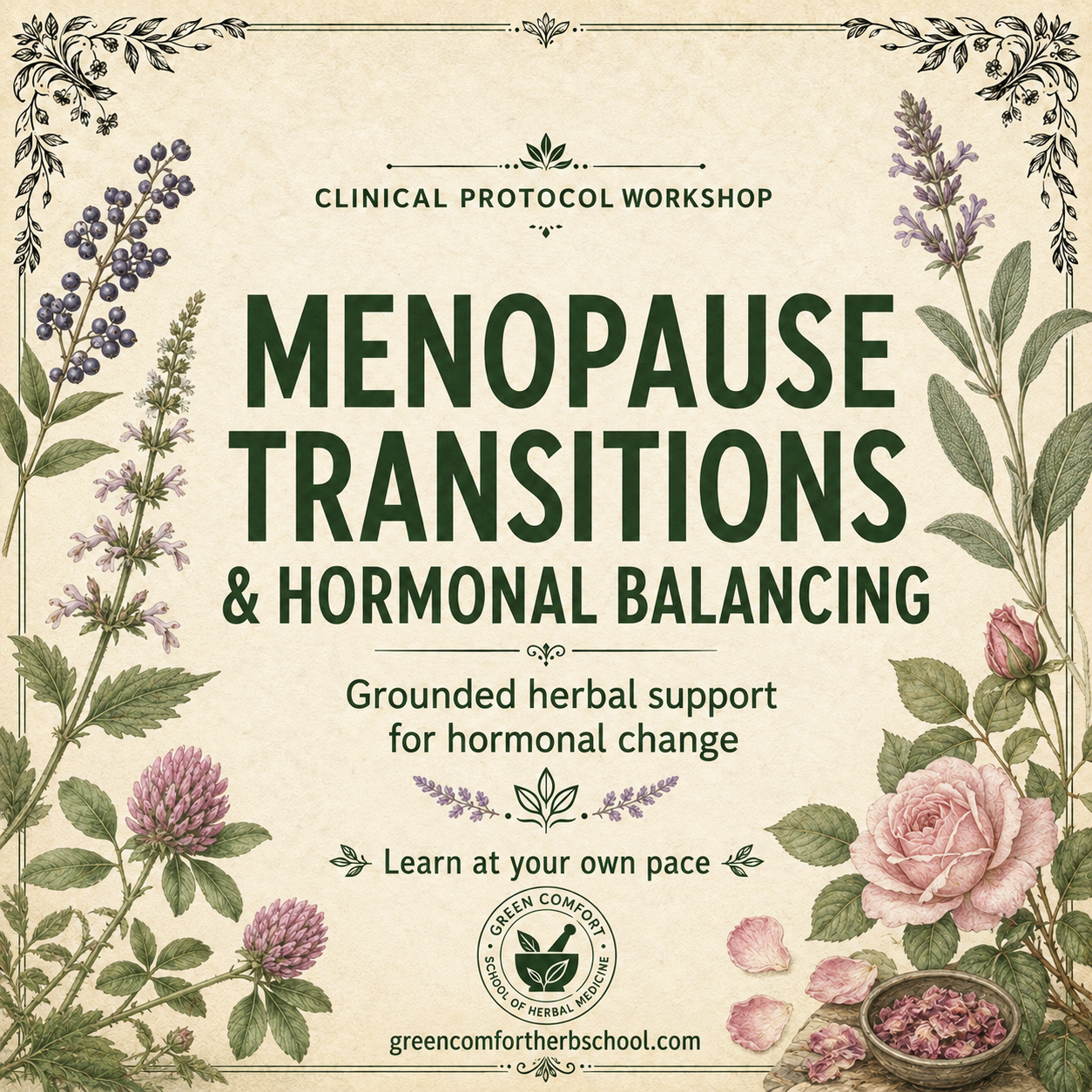Menopause Transitions & Hormonal Balancing