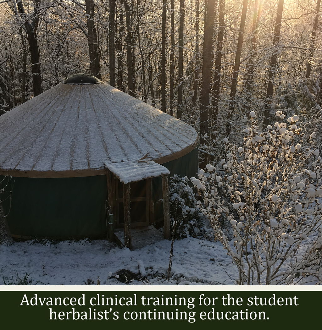 January 31 – Mid-Winter Healing Tonic Soups