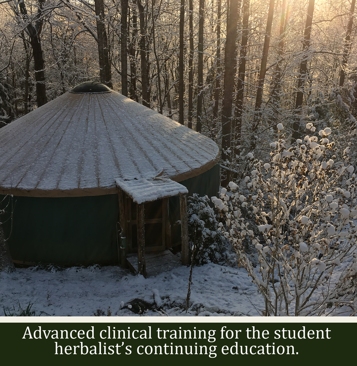 Green Comfort School of Herbal Medicine