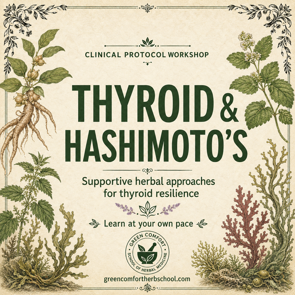 Clinical Protocols for Difficult Diagnoses Thyroid & Hashimoto’s Support